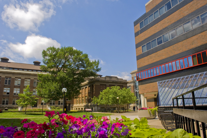 How to Strengthen the Economic Value of Four-Year Degrees in Minnesota